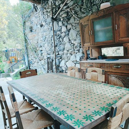 Gite Et Jardin En Bord De Riviere Saumane Dış mekan fotoğraf
