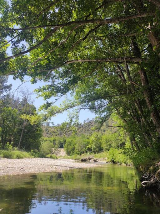 Gite Et Jardin En Bord De Riviere Saumane Dış mekan fotoğraf