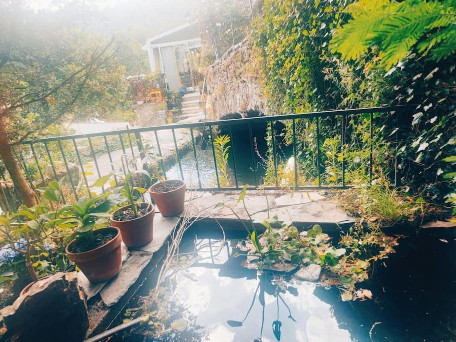 Gite Et Jardin En Bord De Riviere Saumane Dış mekan fotoğraf