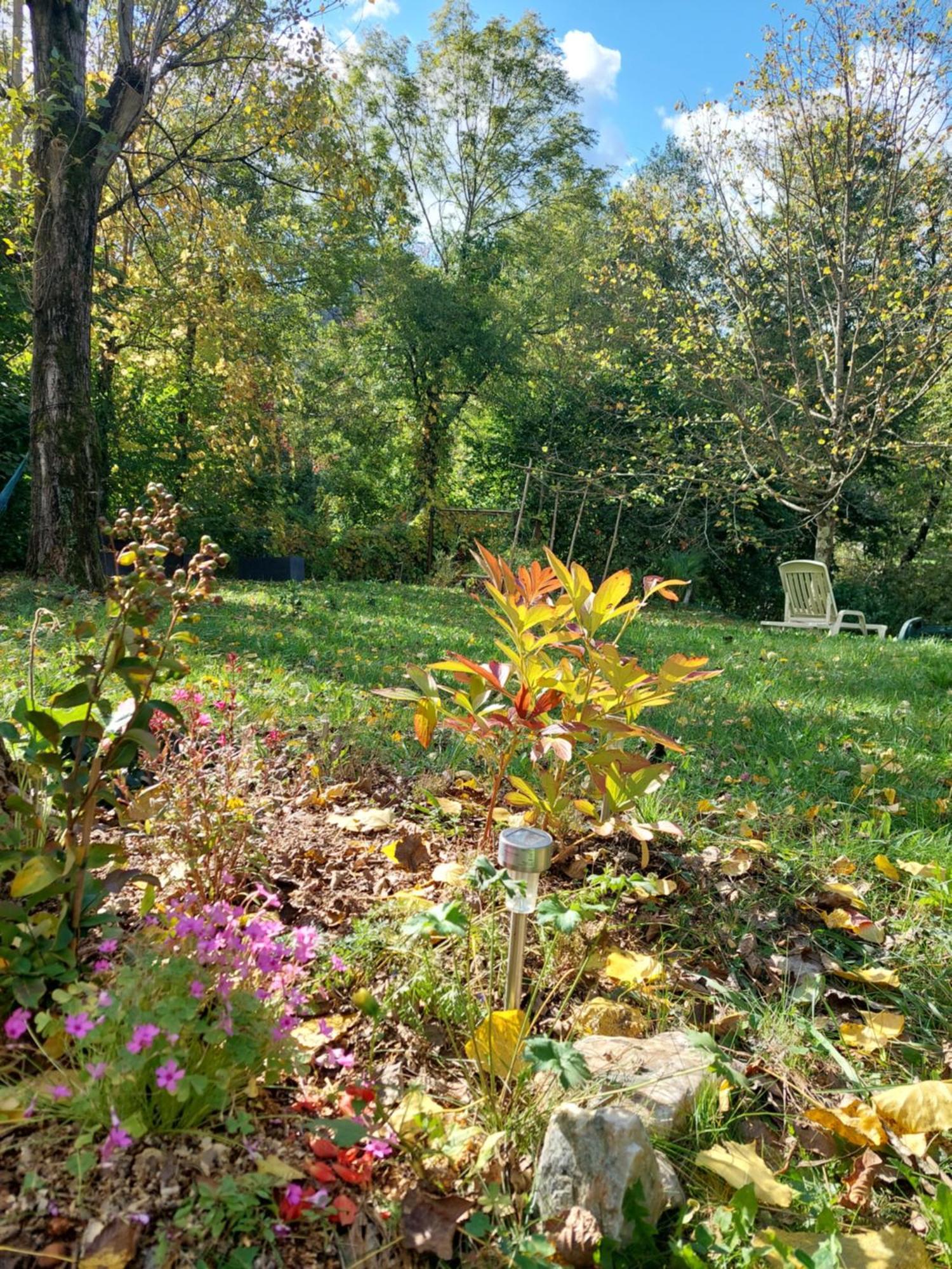 Gite Et Jardin En Bord De Riviere Saumane Dış mekan fotoğraf