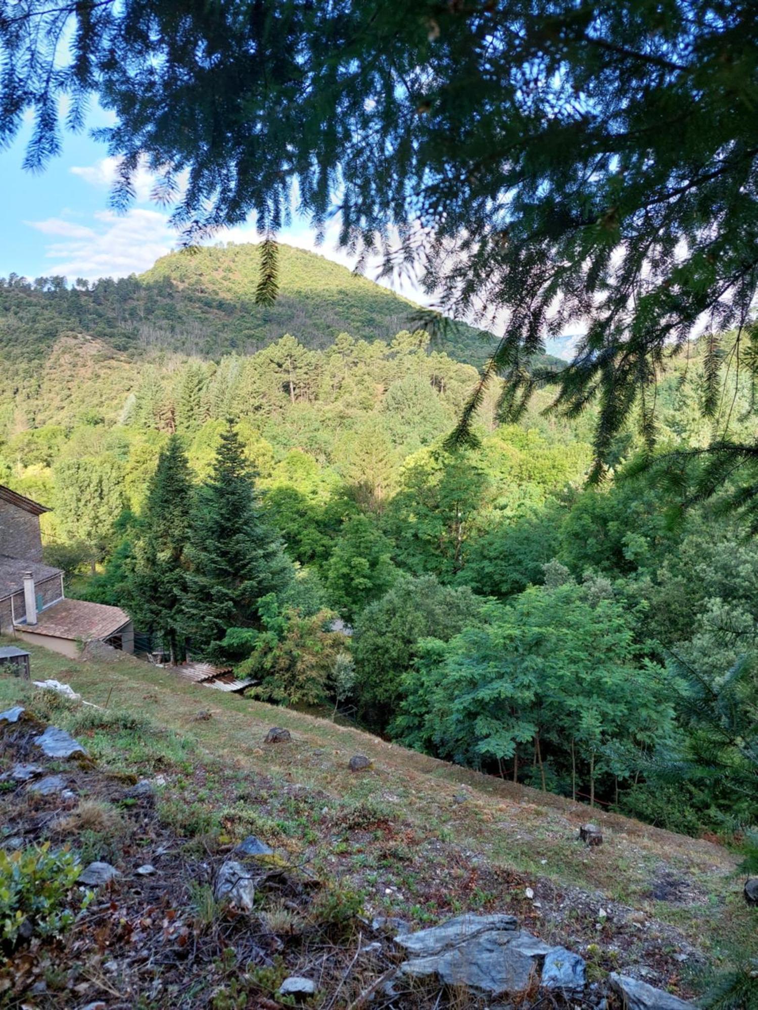 Gite Et Jardin En Bord De Riviere Saumane Dış mekan fotoğraf