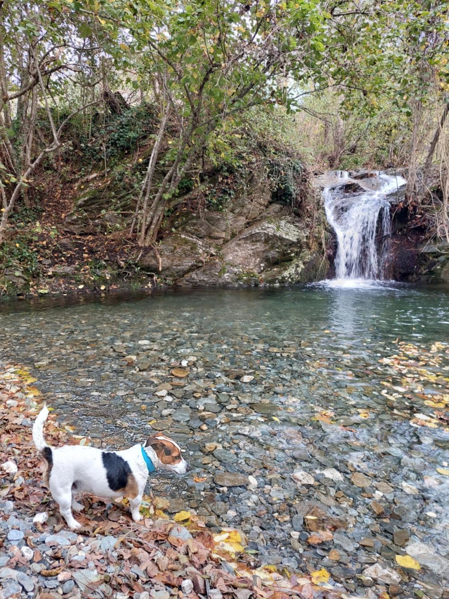 Gite Et Jardin En Bord De Riviere Saumane Dış mekan fotoğraf
